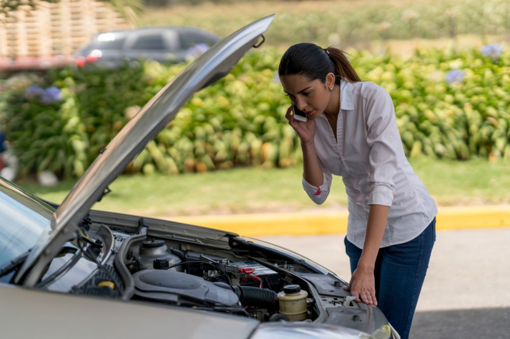 seguro coche barato online	