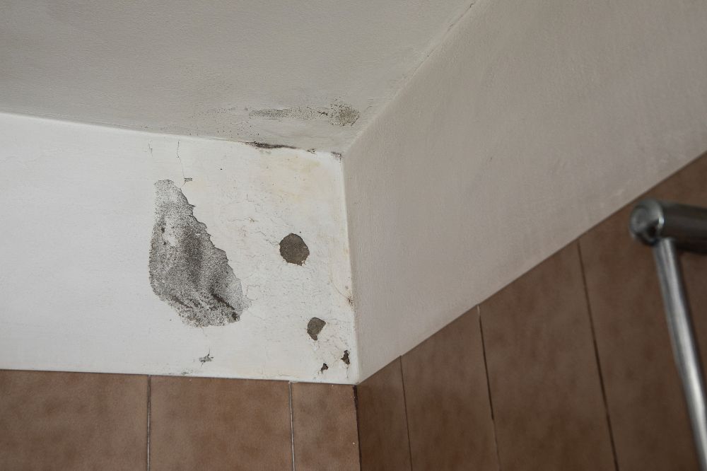 seguro multirriesgo hogar